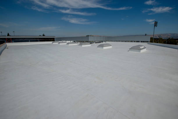 Best Roof Maintenance and Cleaning  in Washington, DC